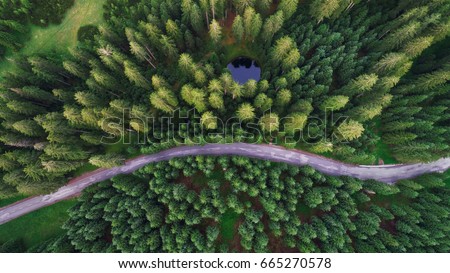 Aerial view of Pokljuka forest and meadows Royalty-Free Stock Photo #665270578