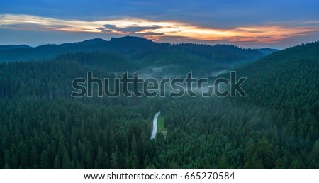 Aerial view of Pokljuka forest and meadows Royalty-Free Stock Photo #665270584