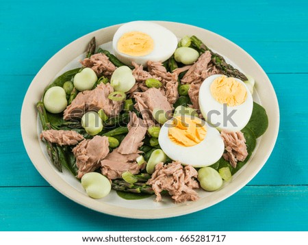 Tuna Fish Salad with Broad Beans Boiled Eggs and Asparagus Against a Blue Background