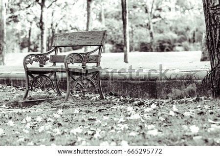 A single chair In the garden, lonely, nobody