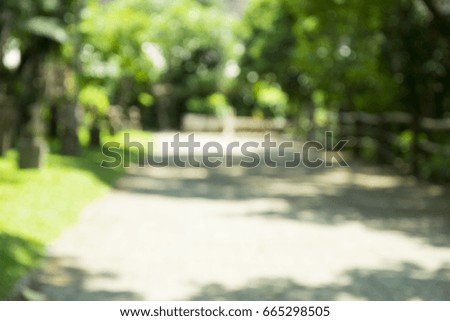 abstract photo of light burst among trees and walkway. image is blurred and filtered