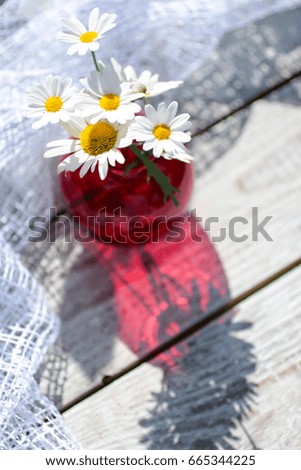 a small bunch of daisies