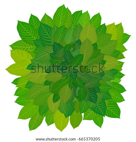 Green leaves. Background for postcard, poster, brochure
