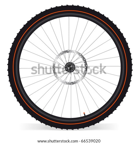Bike wheel - vector illustration on white background. EPS 8