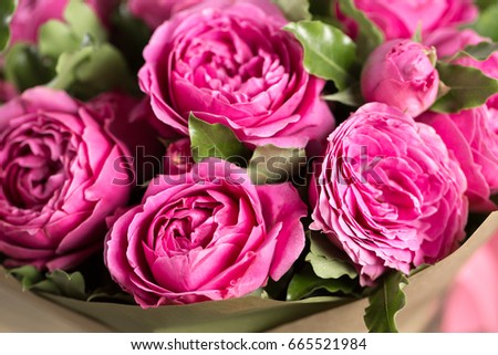 Pink peony roses in vase. retro styled photo.
