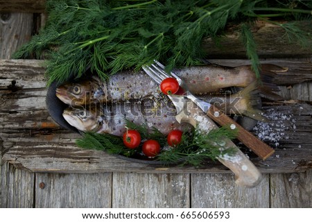 Norwegian trout with dill, tomatoes and salt in a rustic style