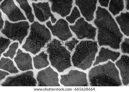 Structure surface background in black and white