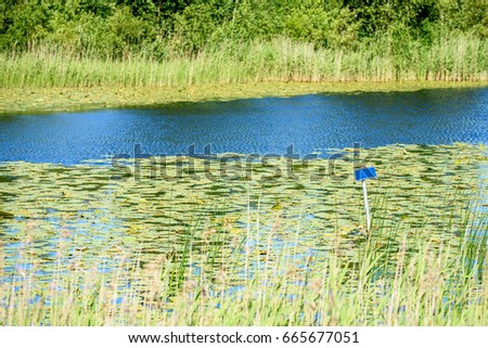 Reflections in the calm lake water with dramatic clouds with water lilies and empty blue sign