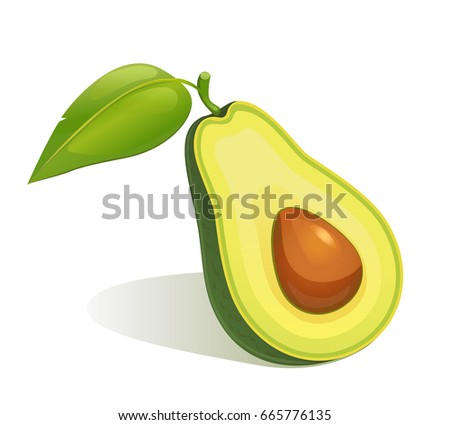 Cartoon slice of avocado with core and leaf isolated on the white.