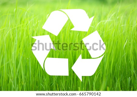 Concept of environmental conservation and protection. Symbol of recycling and green grass on background