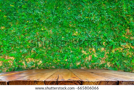 Fresh green plant on cement wall with wooden tabletop use for background