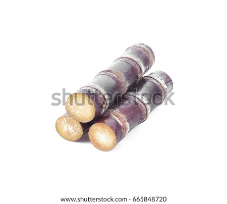 sugar cane isolated on a white background, photography