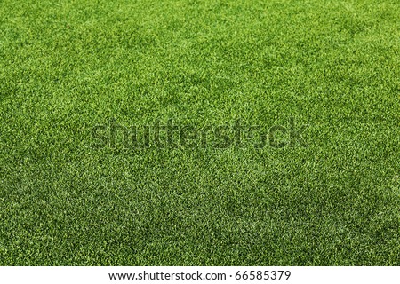 Artificial Grass Field Perspective View Shallow Depth of Field Royalty-Free Stock Photo #66585379