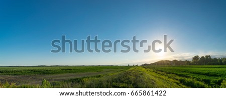 Evening in the Crop Fields Royalty-Free Stock Photo #665861422