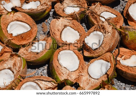 Many of coconut with half on the rocky floor in summer day - pattern - background