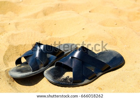 Photo of black shale on sunny beach sand