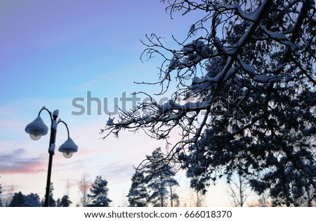 Snow covered trees and a lamp post shot against a colorful sunset in Finland