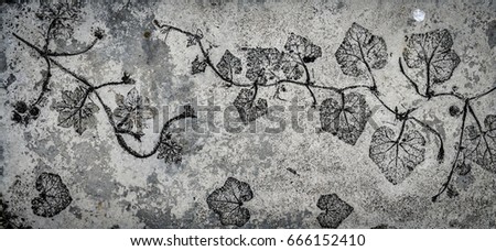 Cement surface with plants and leaves pattern for background. 