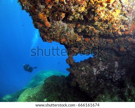 Cirkewwa Reef, Malta       
