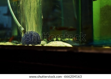Closeup air bubbles in fish tank