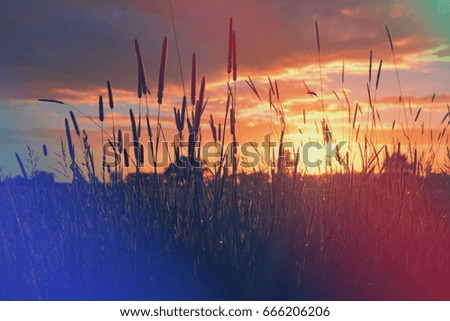 vintage photo of sunset on field. rural landscape
