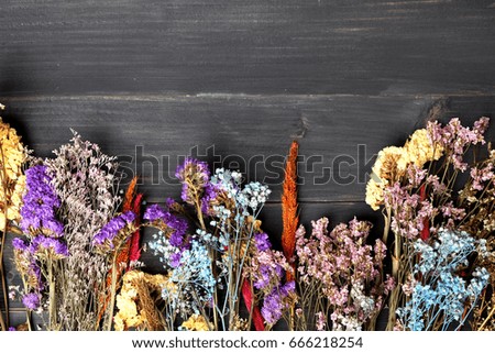 colorful dried flower in black wood background