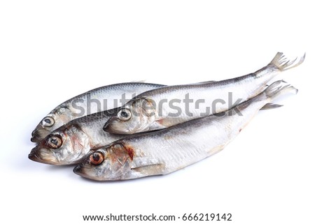 Little fish on a white background  (isolated). Close up
