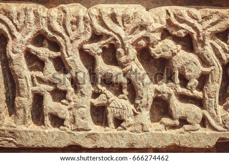 Wild animals and trees of forest on sculpured stone relief carvings from the 12th century temple's wall, Halebidu town of Karnataka. Old Indian artwork.