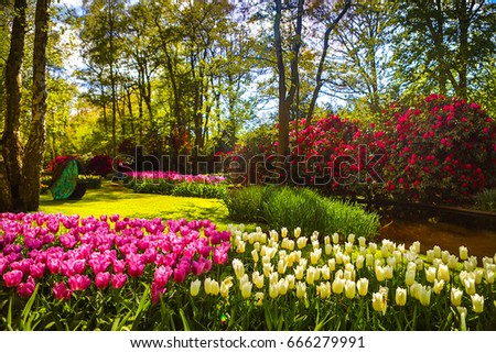 Blooming summer garden, beautiful flowers park in Netherlands as floral background.