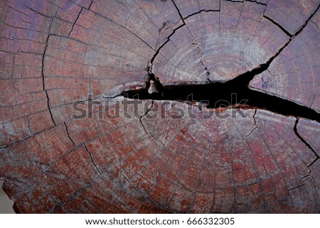 Cracked wood board background.