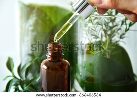 Scientist with natural drug research, Natural organic botany and scientific glassware, Alternative green herb medicine, Natural skin care beauty products, Research and development concept. Royalty-Free Stock Photo #666406564