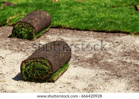 The stacking of roll green lawn grass