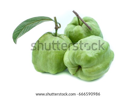 Guava Fruits Isolated on White Background