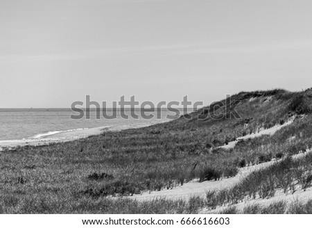 The magnificent dunes of Provincetown and Truro stretch for miles along the National Seashore in Cape Cod Massachusetts, USA- Image 5