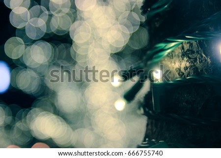Christmas lights wrapped around a tree trunk, soft bokeh in the background