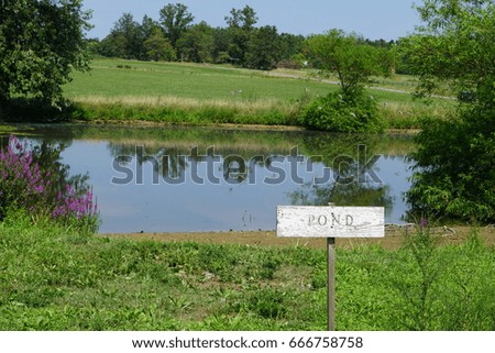 Pond with Sign