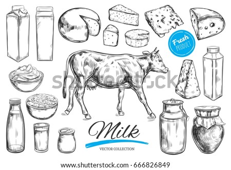 Dairy products vector collection. Cow, milk products, cheese , butter, sour cream, curd, yogurt. Farm foods. Farm landscape with cow.  Hand drawn illustration. Isolated objects on white Royalty-Free Stock Photo #666826849