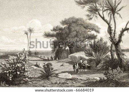 Old engraving shows image of  Marsala surroundings, Italy. Original drawn by Henri De Chacaton, engraved by Paul Girardet. Published in France, 1841