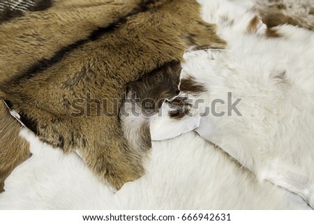 Wild animal tanned leather, detail of leather for clothing, luxury
