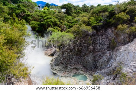 Rotorua Hot Springs