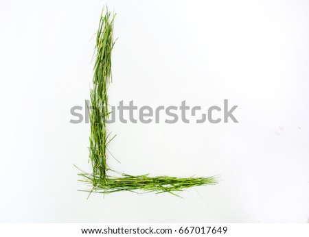 L letter of alphabet written with fresh green grass