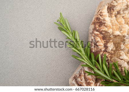 Branch of fresh spicy rosemary and a natural sea stone on a gray pastel background.

