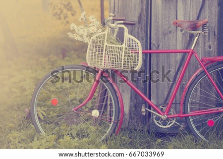 Vintage Bicycle with flowers /summer background with bicycle (toned picture)