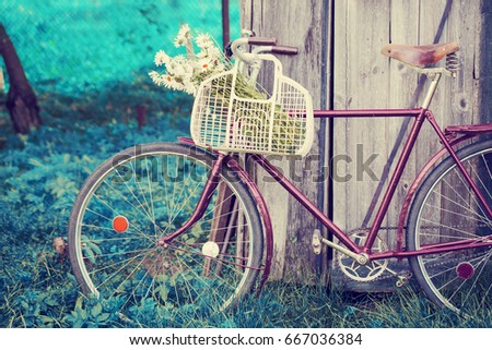 Vintage Bicycle with flowers /summer background with bicycle (toned picture)