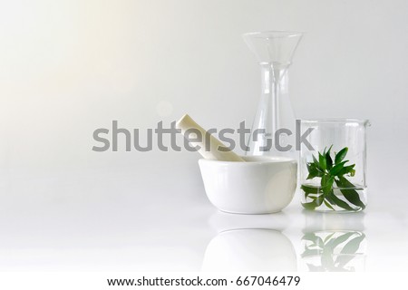 Natural organic botany and scientific glassware, Alternative herb medicine, Natural skin care beauty products, Research and development concept. Royalty-Free Stock Photo #667046479