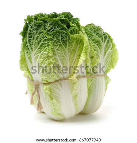 Chinese cabbage on white background 