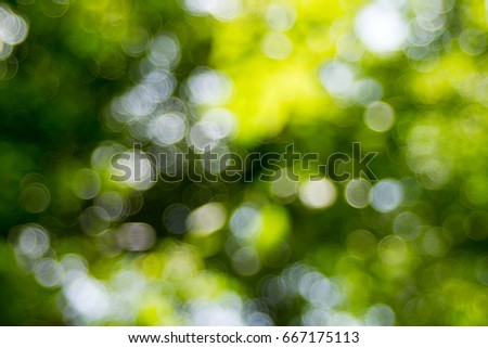 Abstact real nature green blurred background with bokeh,Abstact defocus bokeh light background made of forest style.