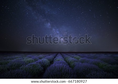 Milky Way Galaxy over a lavender field