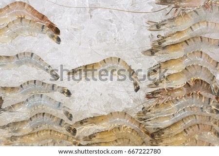 Shrimp in tray on ice