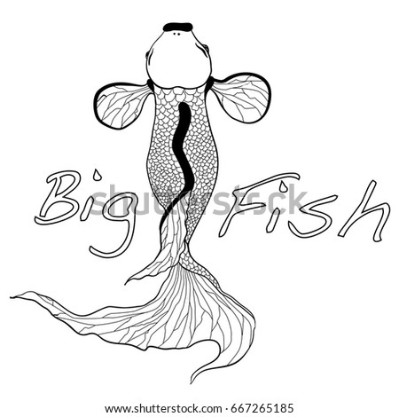 illustration of koi carp, fish. Vector.